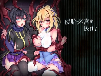 Shintai Meikyuu o Nukete cover