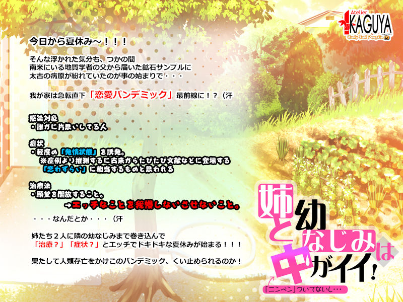 Ane to Osananajimi wa Naka ga ii! ~ "Ninben" Tsuite Naishi...? ~ page 3 full