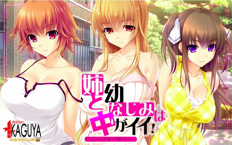 Ane to Osananajimi wa Naka ga ii! ~ "Ninben" Tsuite Naishi...? ~ page 4 full