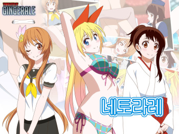Netorare cover