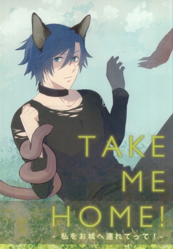 Watashi o Oshiro e Tsuretette! - TAKE ME HOME! cover