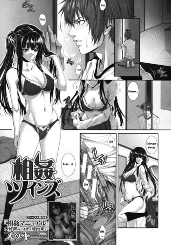 Soukan Twins cover