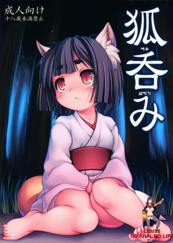 Kitsune Nomi cover