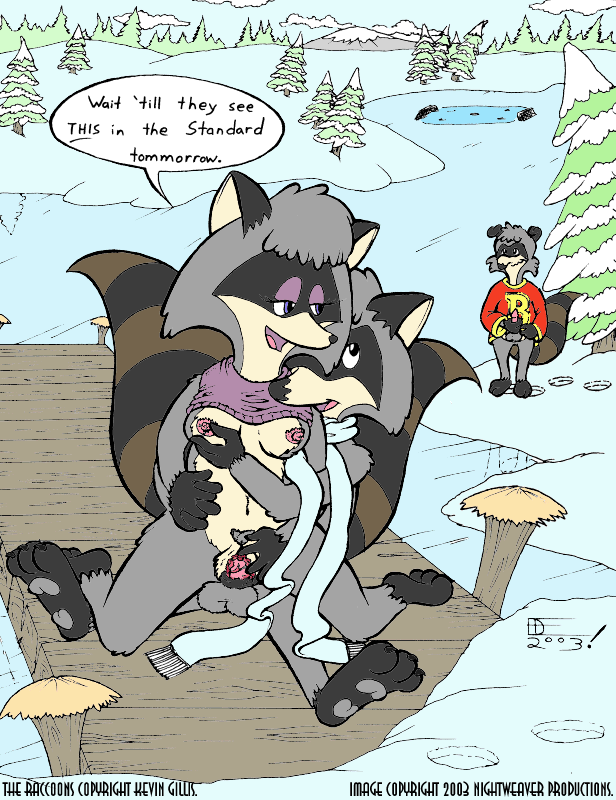 The Raccoons / Еноты page 10 full