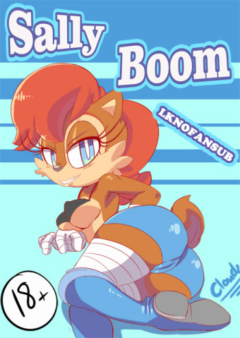Sally Boom  LKNOFansub cover