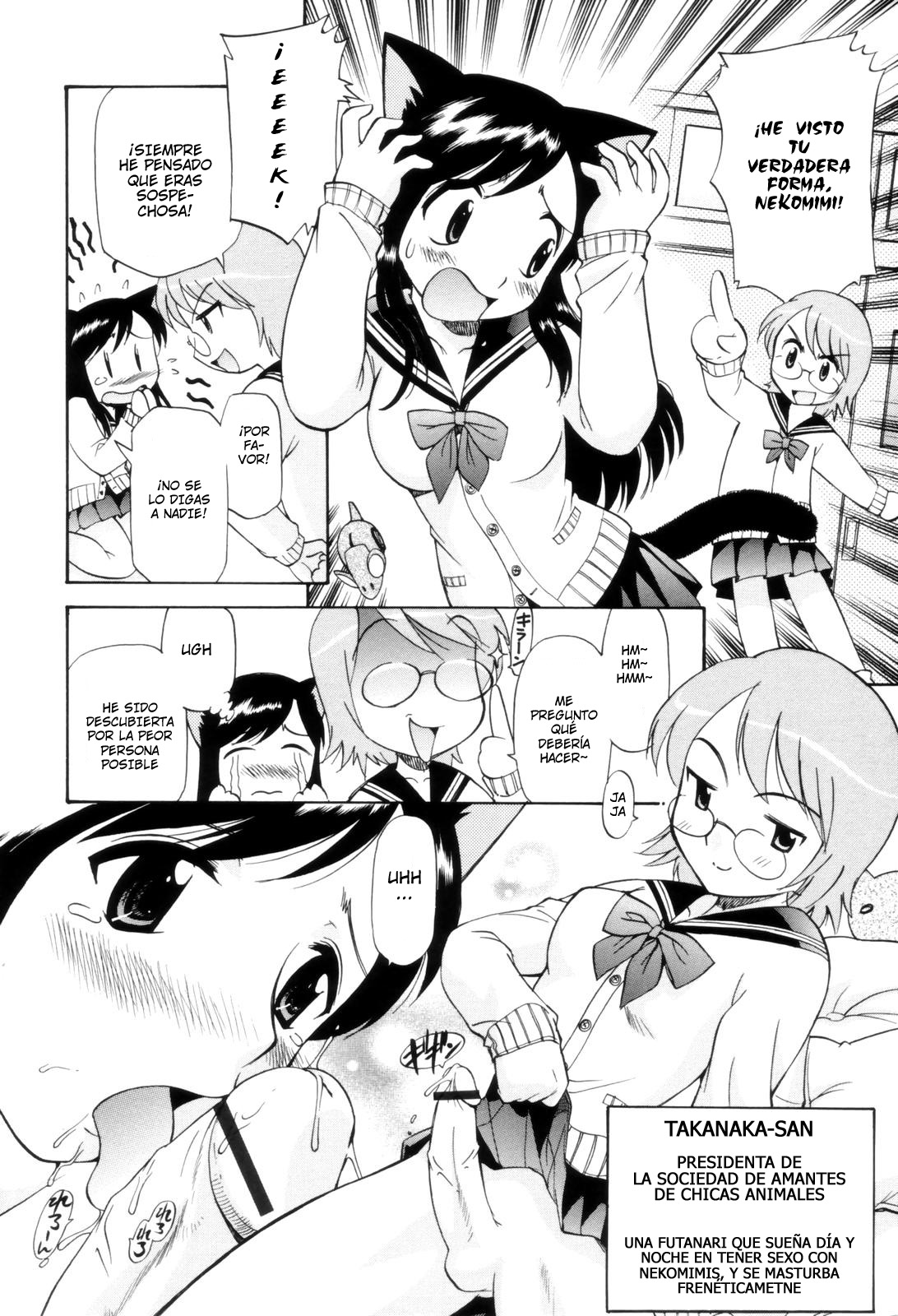 Houkago Nekomimi Fuck! | After School Cat Ear Fuck! page 2 full