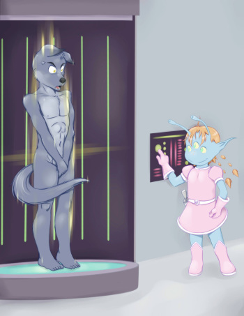 The Examination cover