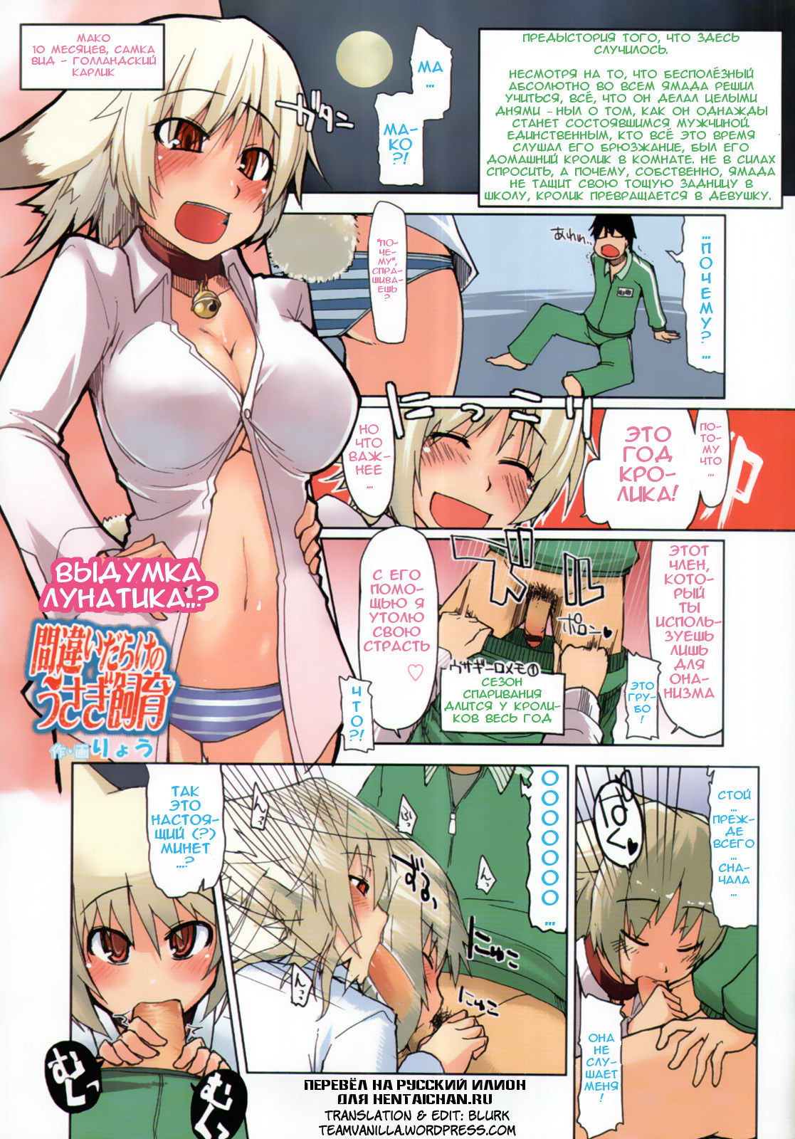Machigai Darake no Usagi Shiiku | You're Doing It Wrong! page 1 full