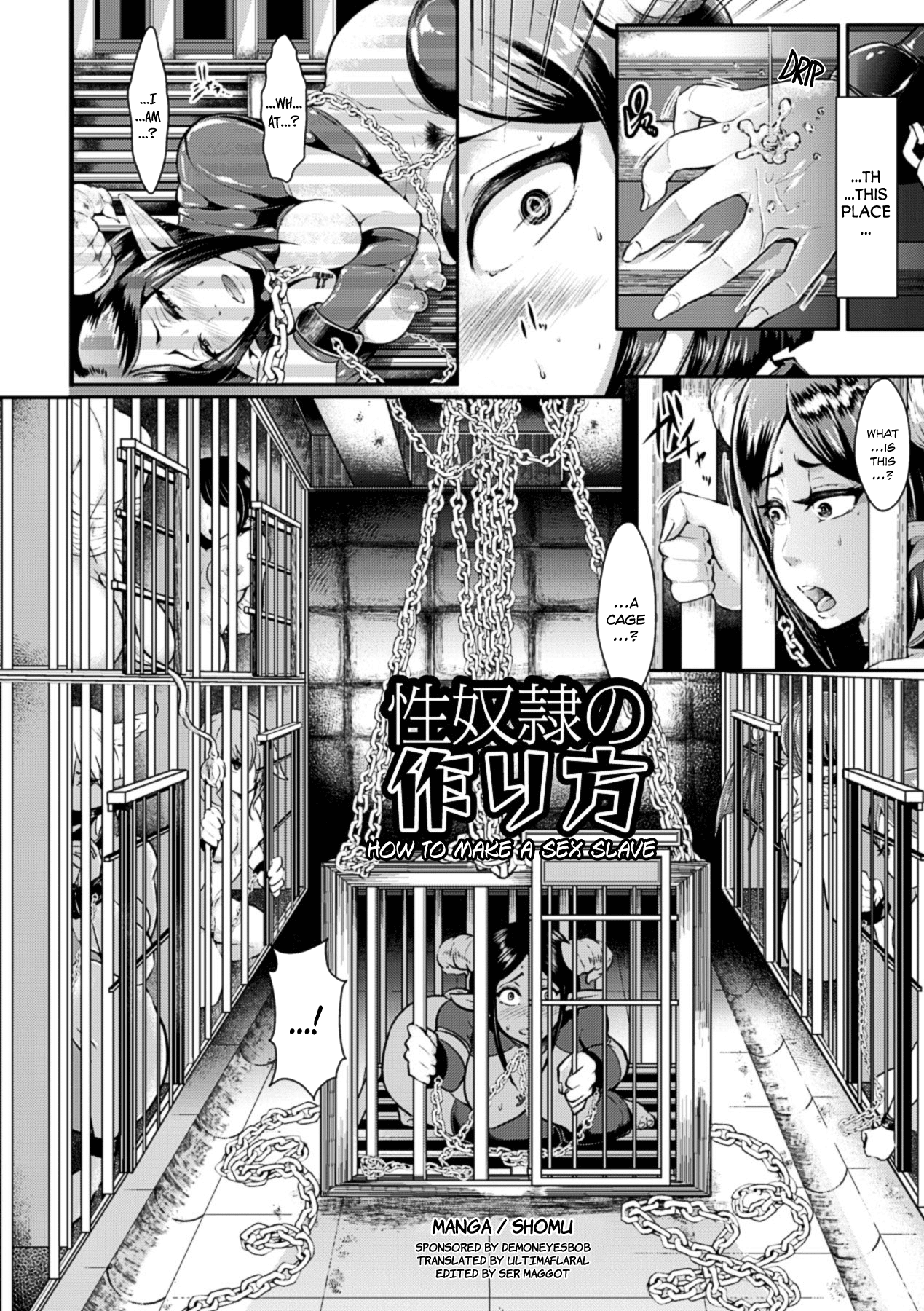 Seidorei no Tsukurikata | How to Make a Sex Slave page 1 full