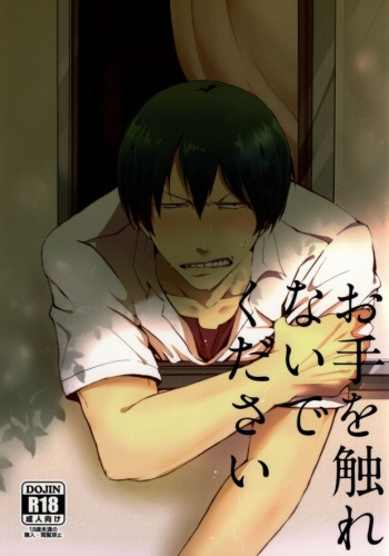 Ote o Furenai de Kudasai cover