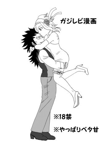 GajeeLevy Manga 2 cover