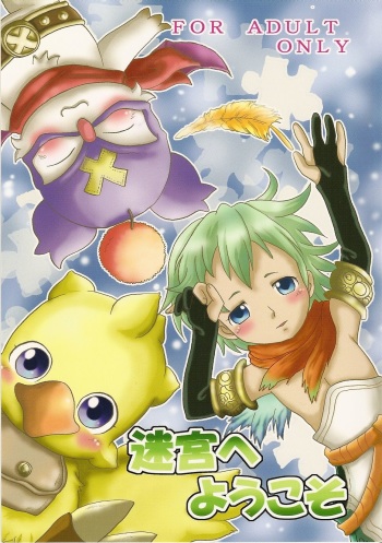 Meikyuu e Youkoso cover