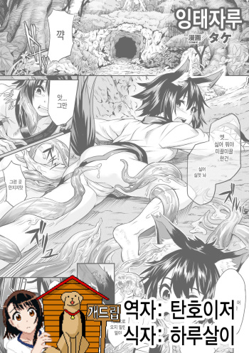 Youtai cover