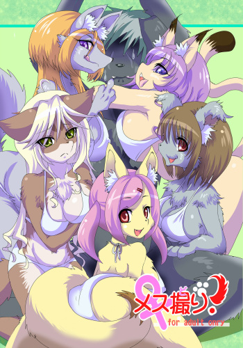 Mesudori! cover